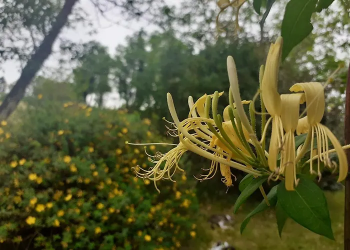 بيت للعطل La Maison Parfumee *