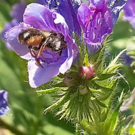 La Maison Parfumee Vakantiehuis