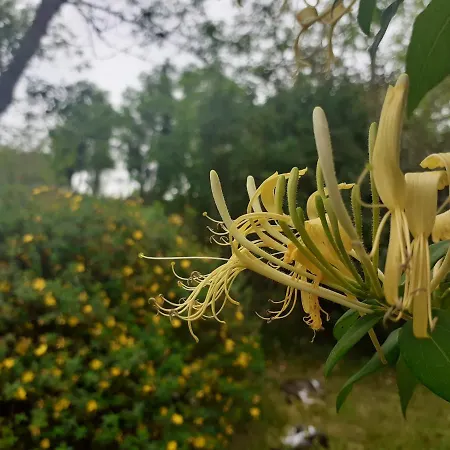 Vakantiehuis La Maison Parfumee *